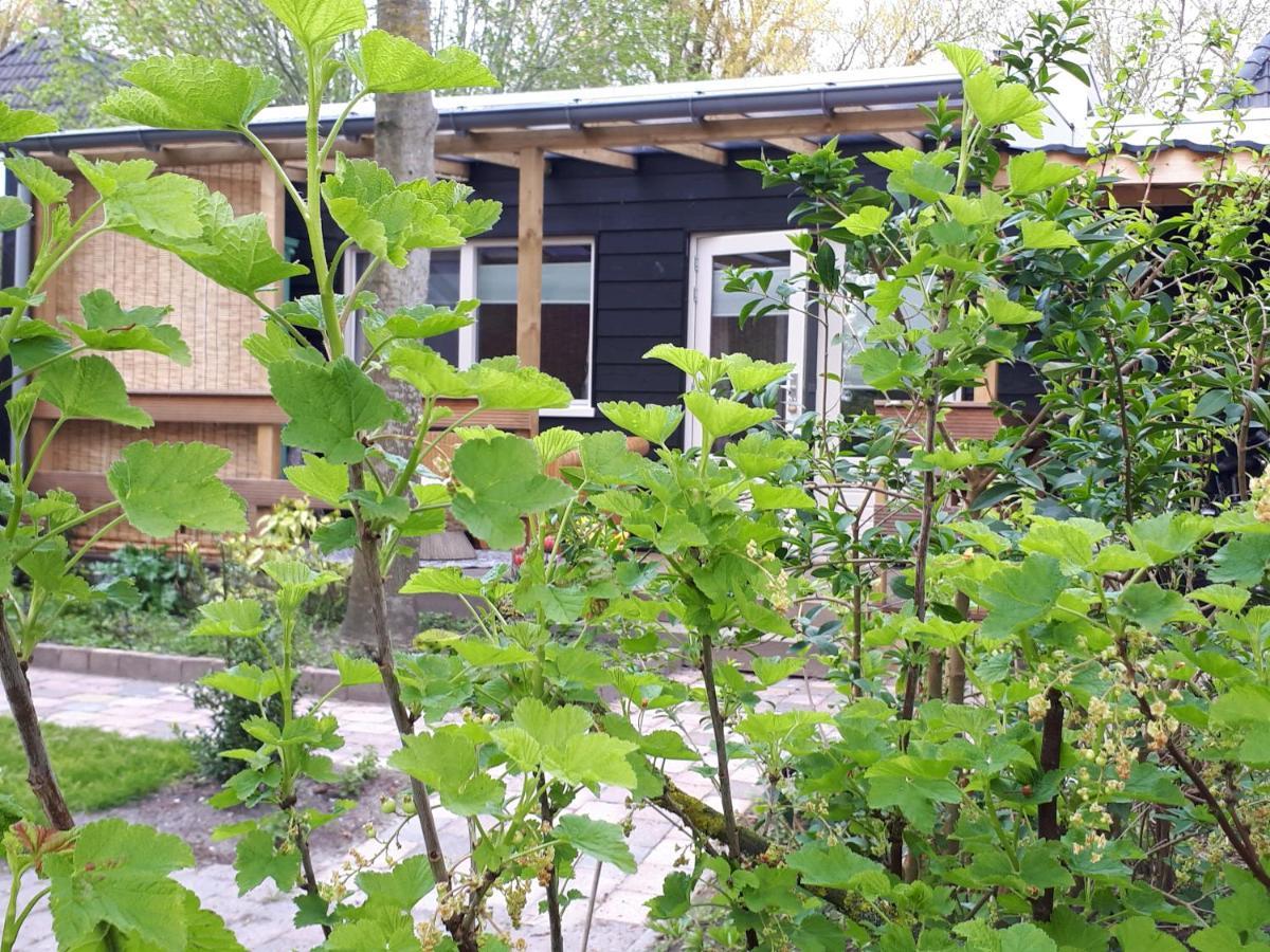 B&B Het Molensteegje Andijk Kültér fotó
